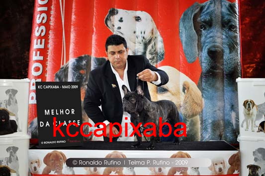 Clique sobre a foto para fechar